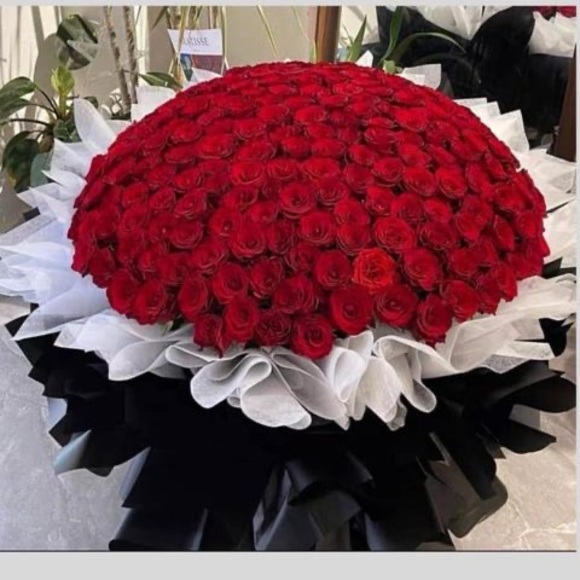 Meet your Posher, Edvida - Picture 1 of 1